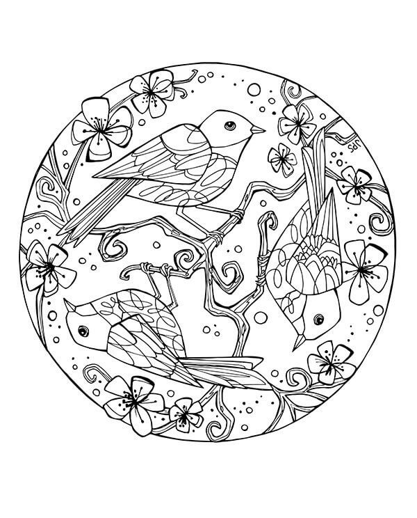 Birds with Flowers and Leaves in Spring Mandala تلوين