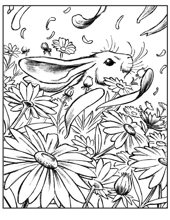 أرنب مع الزهور تلوين