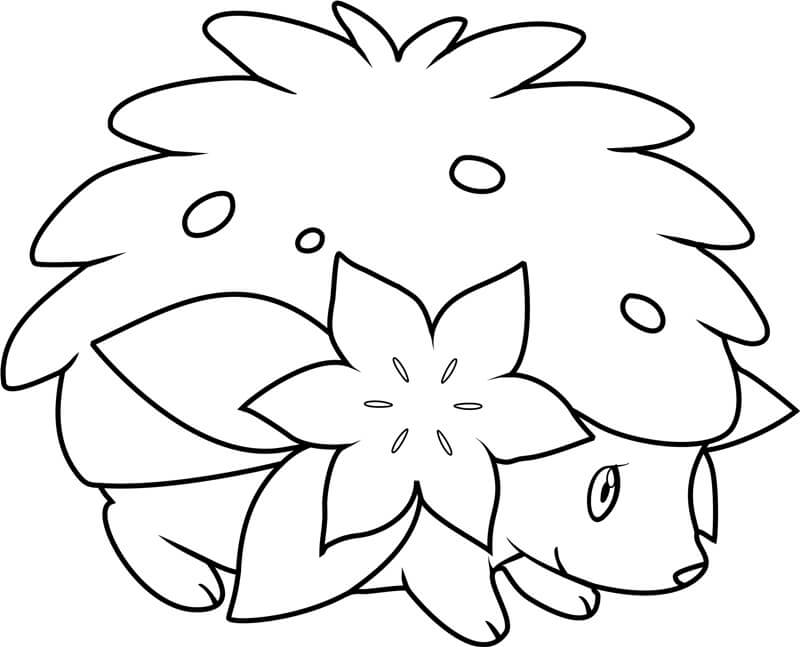 Beautiful Pokemon Shaymin صورة تلوين