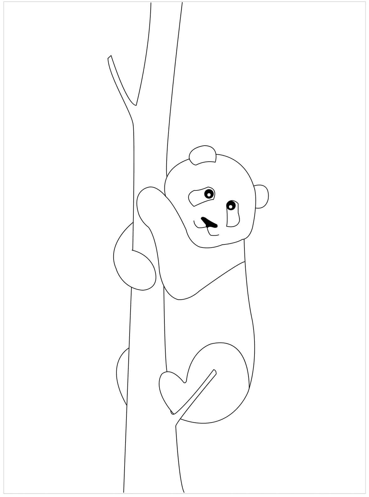 حبل تسلق الباندا الأساسي تلوين