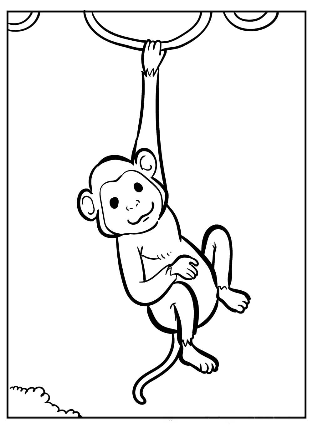 حبل تسلق القرد الأساسي تلوين