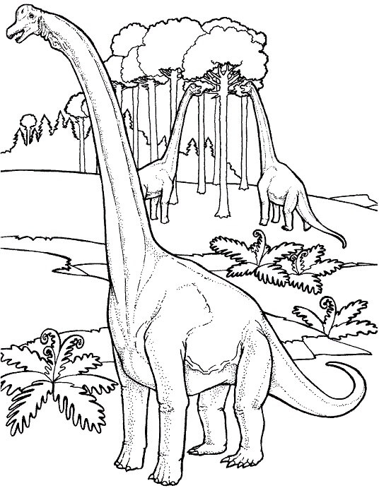 ثلاثة ديناصورات طويلة الرقبة تلوين