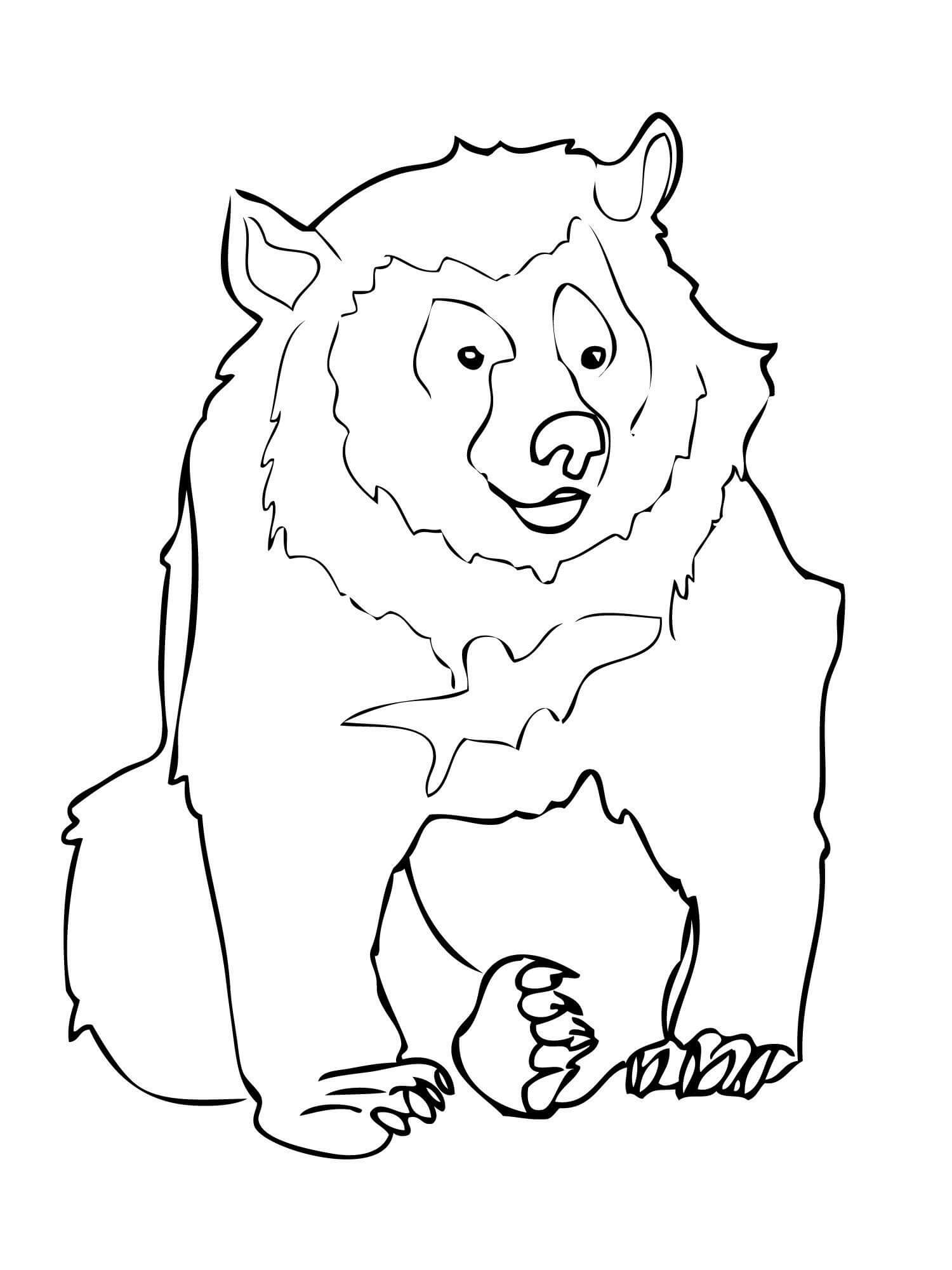الدب العادي صورة تلوين