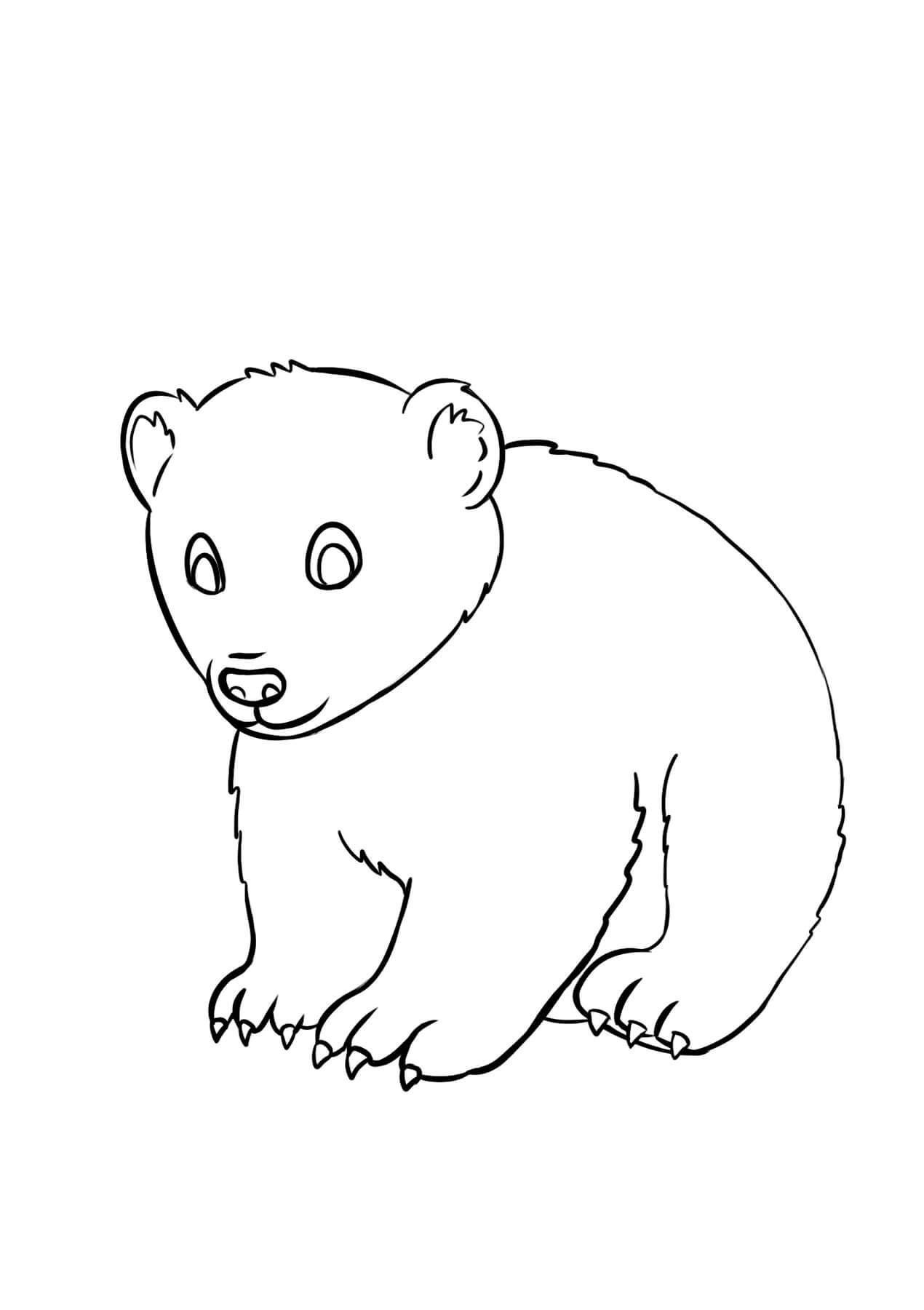 الدب الصغير صورة تلوين