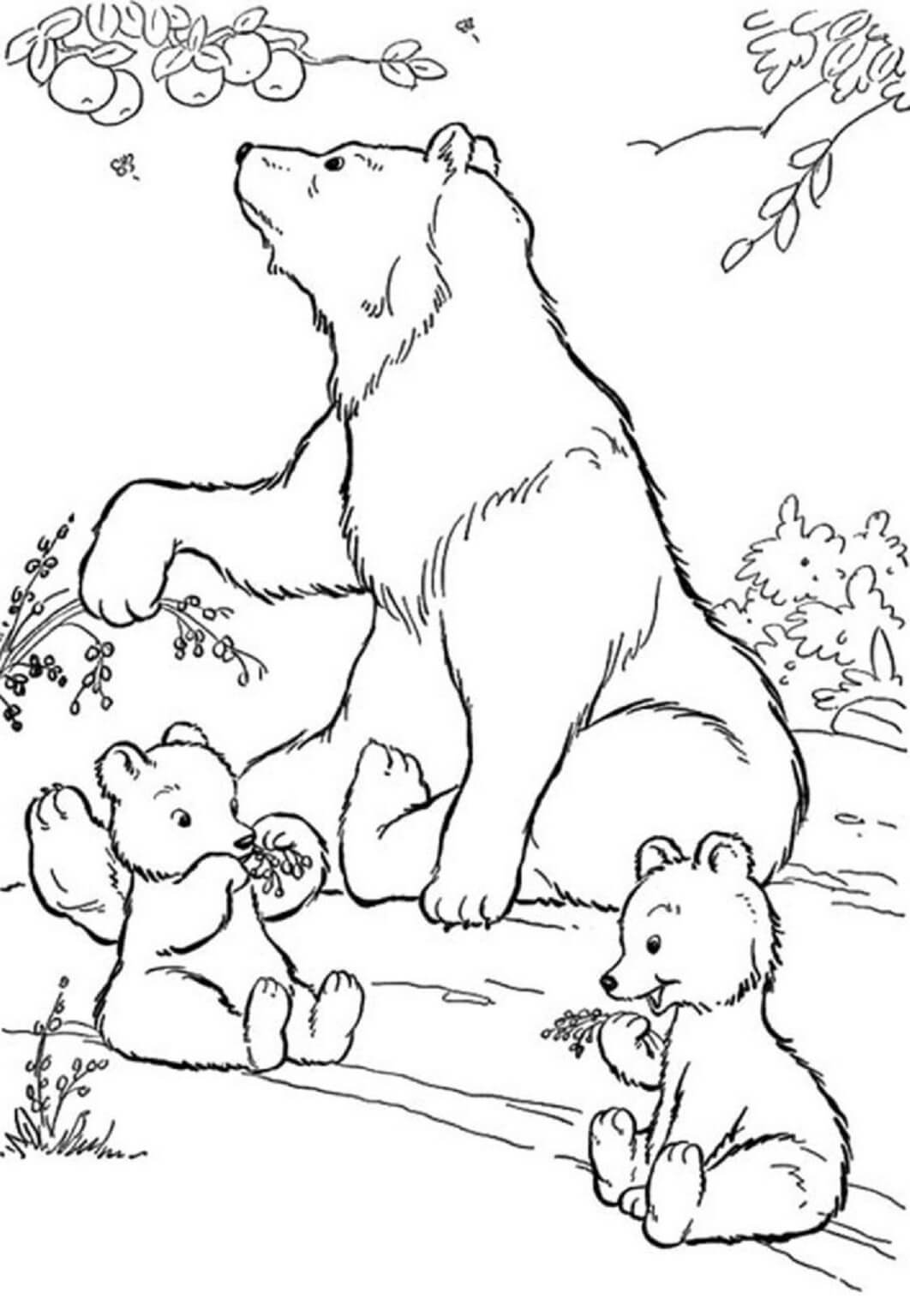 الدب الأم واثنين من الدببة الصغيرة صورة تلوين