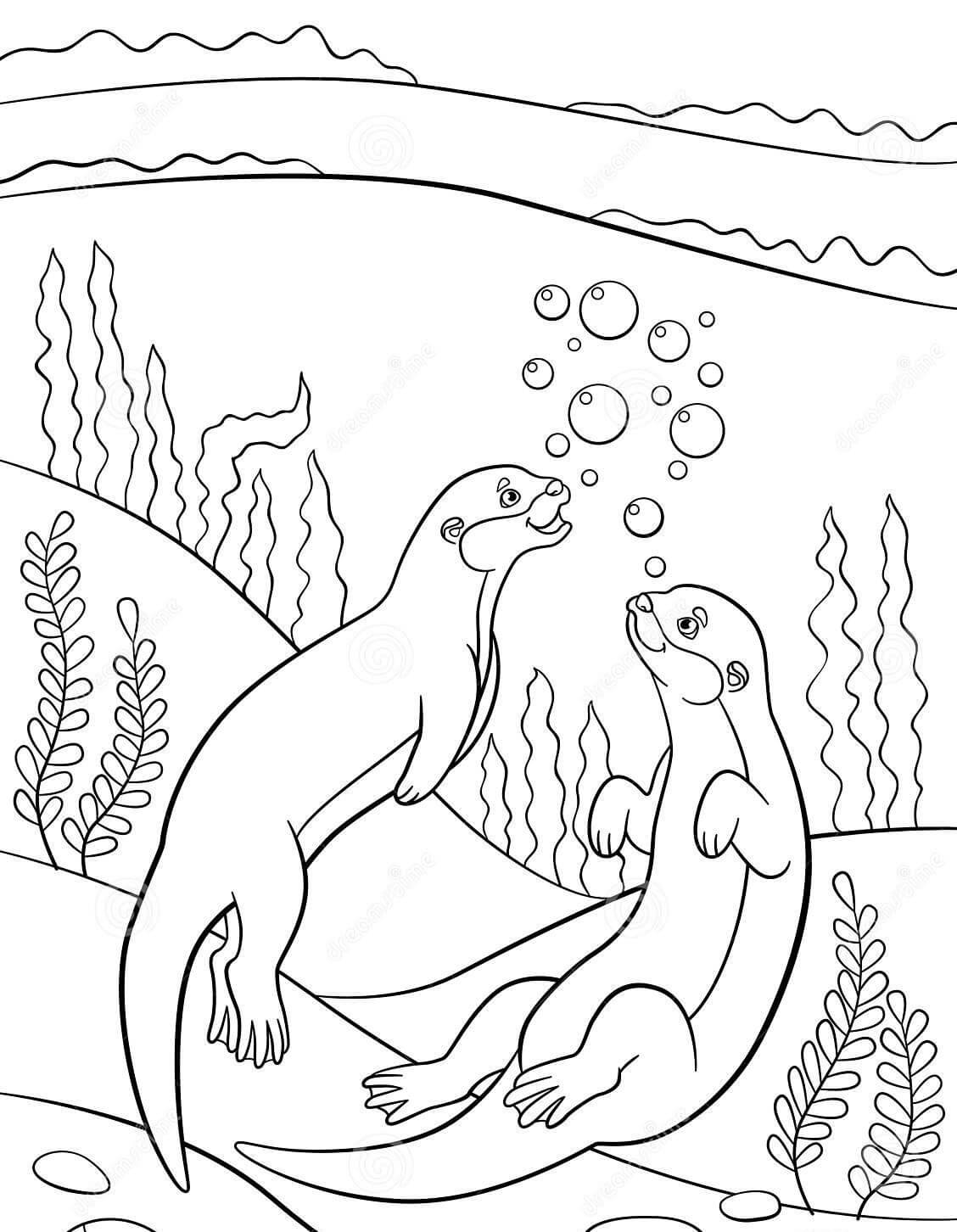 زوجان ثعلب الماء تلوين