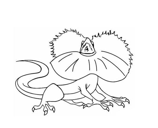 السحالي الغاضبة تلوين