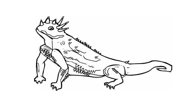 سحلية تلوين