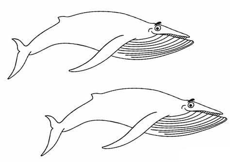 اثنين من الحيتان صورة تلوين