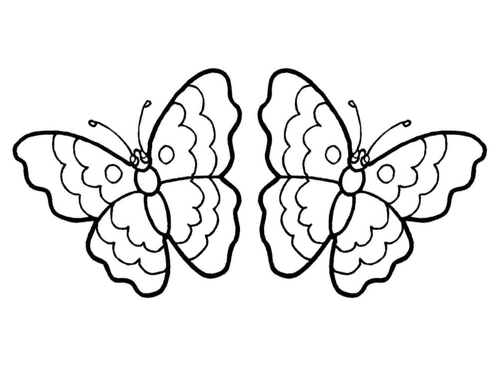 اثنين من الفراشات تلوين