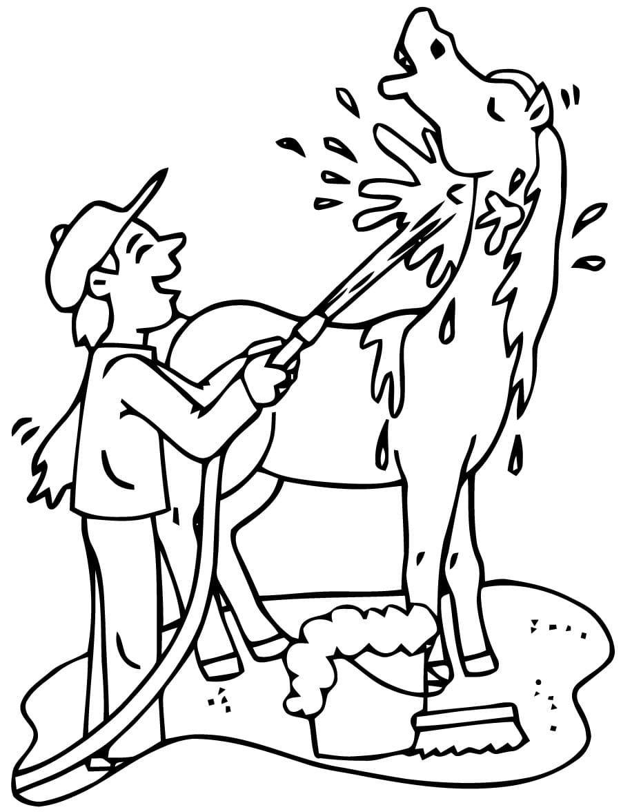 Bathing the Horse تلوين