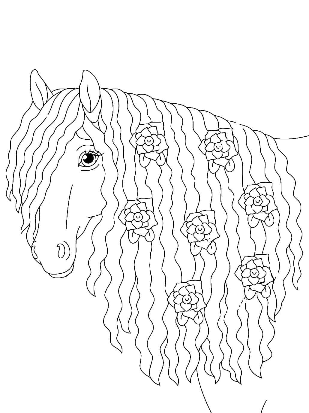 Beautiful Horse Printable صورة تلوين