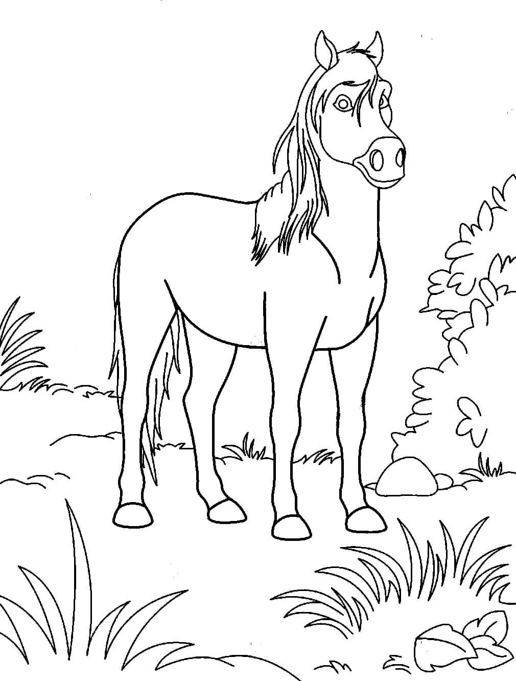 Cartoon Horse Printable صورة تلوين