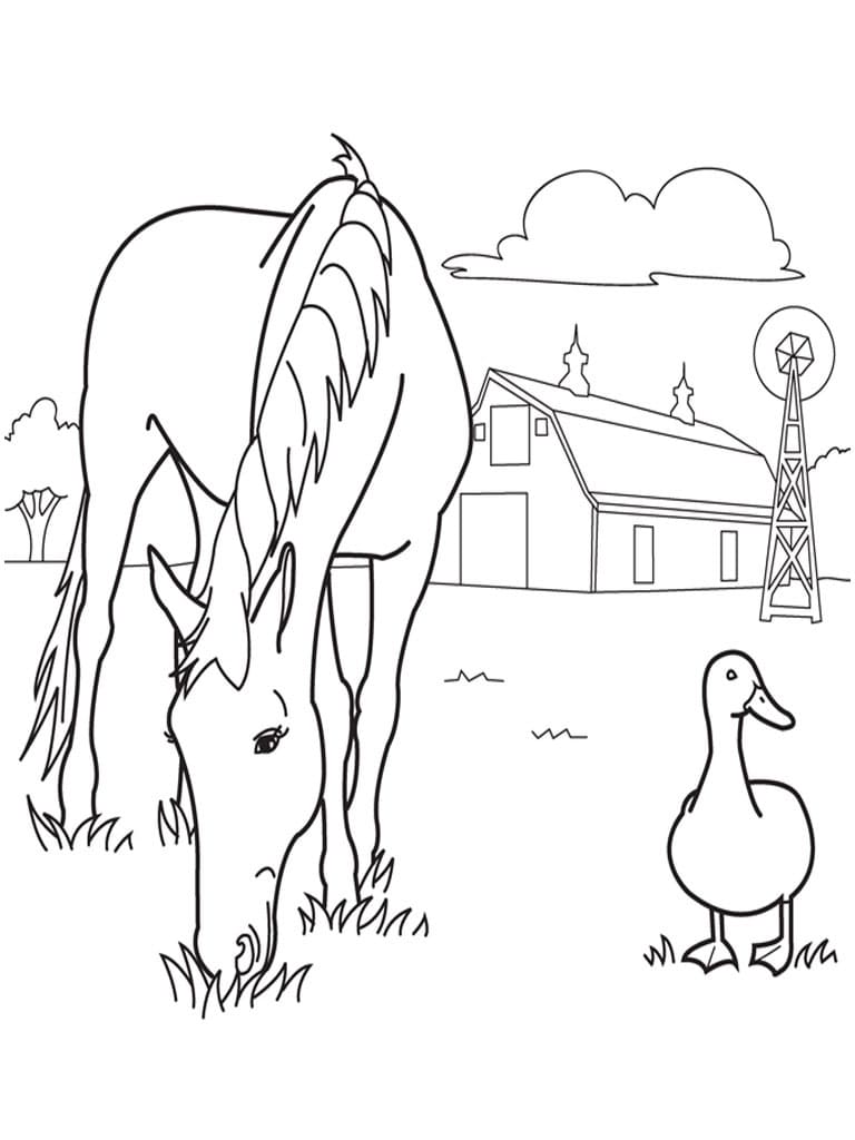 Horse and Duck صورة تلوين