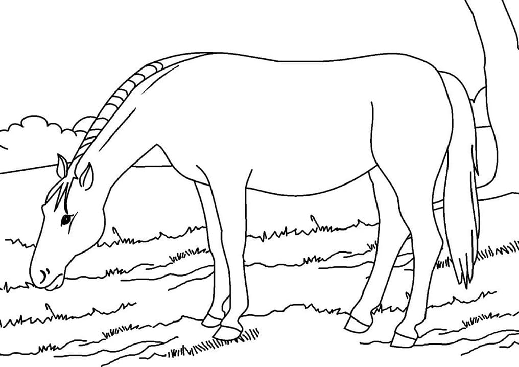 Horse Free Printable تلوين