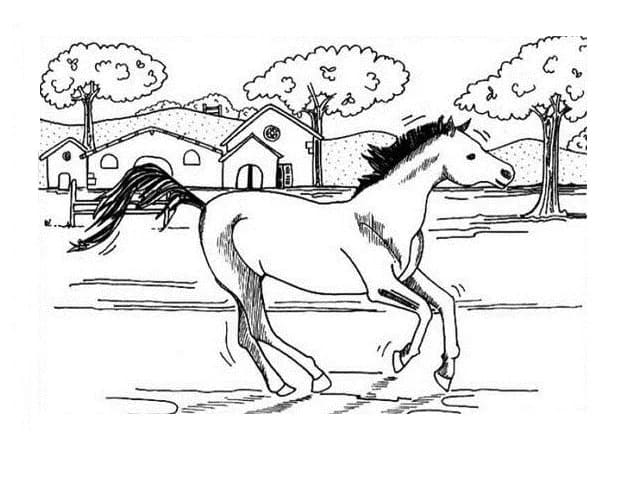 Printable Galloping Horse صورة تلوين