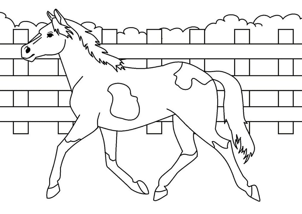 Printable Horse صورة تلوين