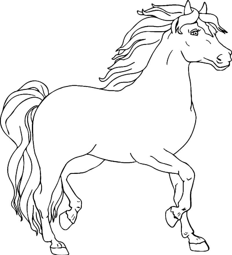 Printable Horse For Kids صورة تلوين