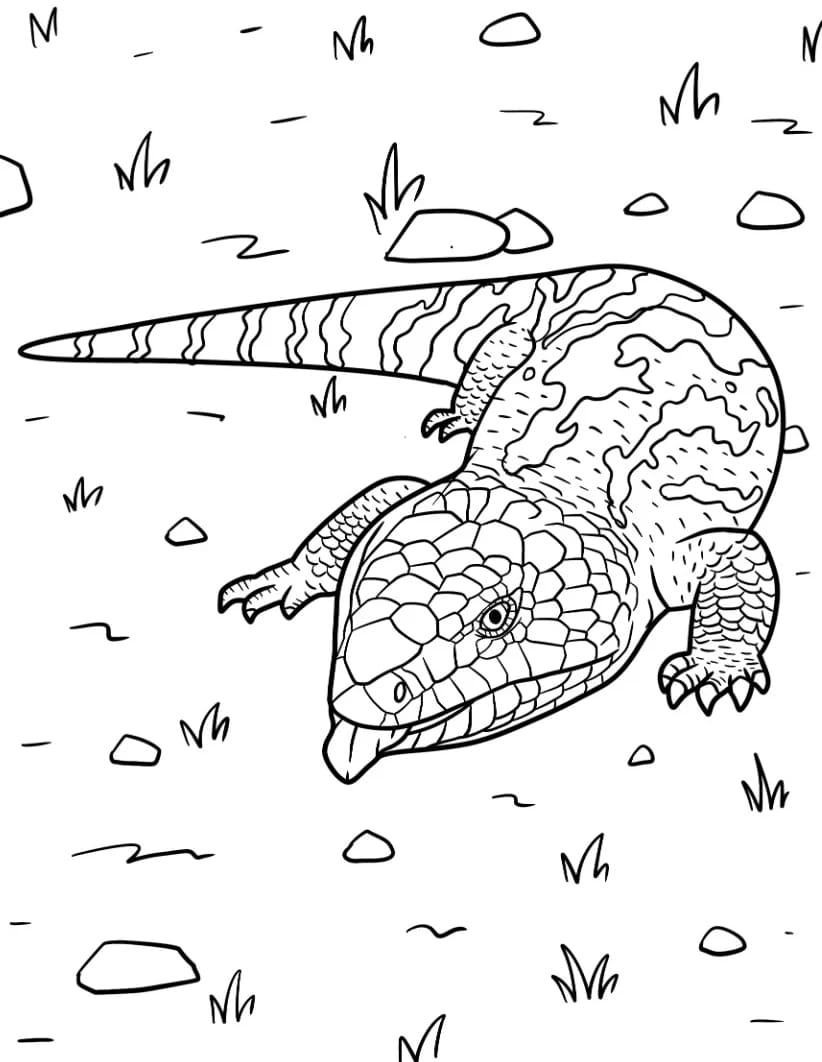 سحلية متقشرة تلوين