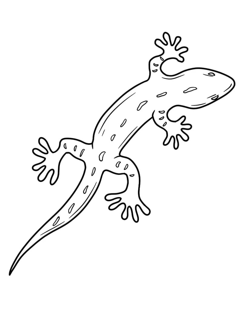 سحلية لمرحلة ما قبل المدرسة تلوين