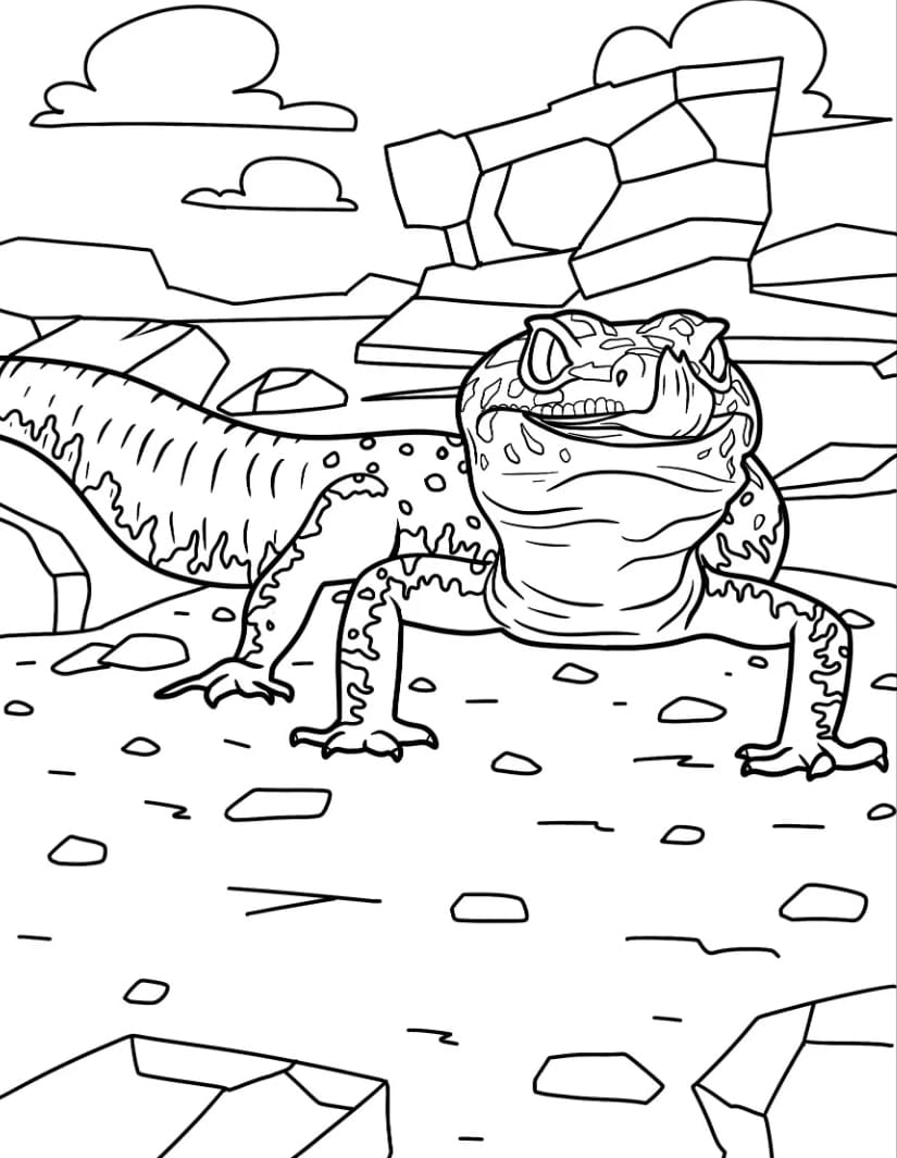 سحلية أبو بريص النمر تلوين