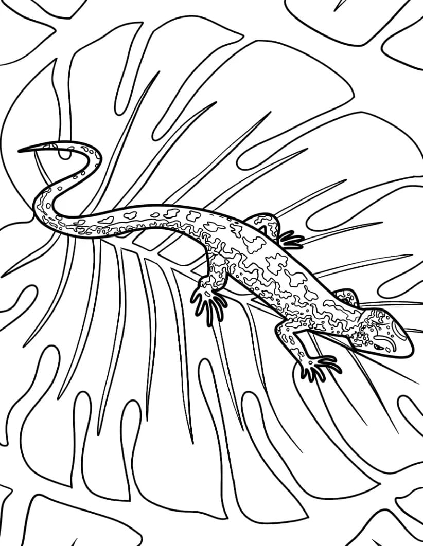 سحلية الرمل تلوين