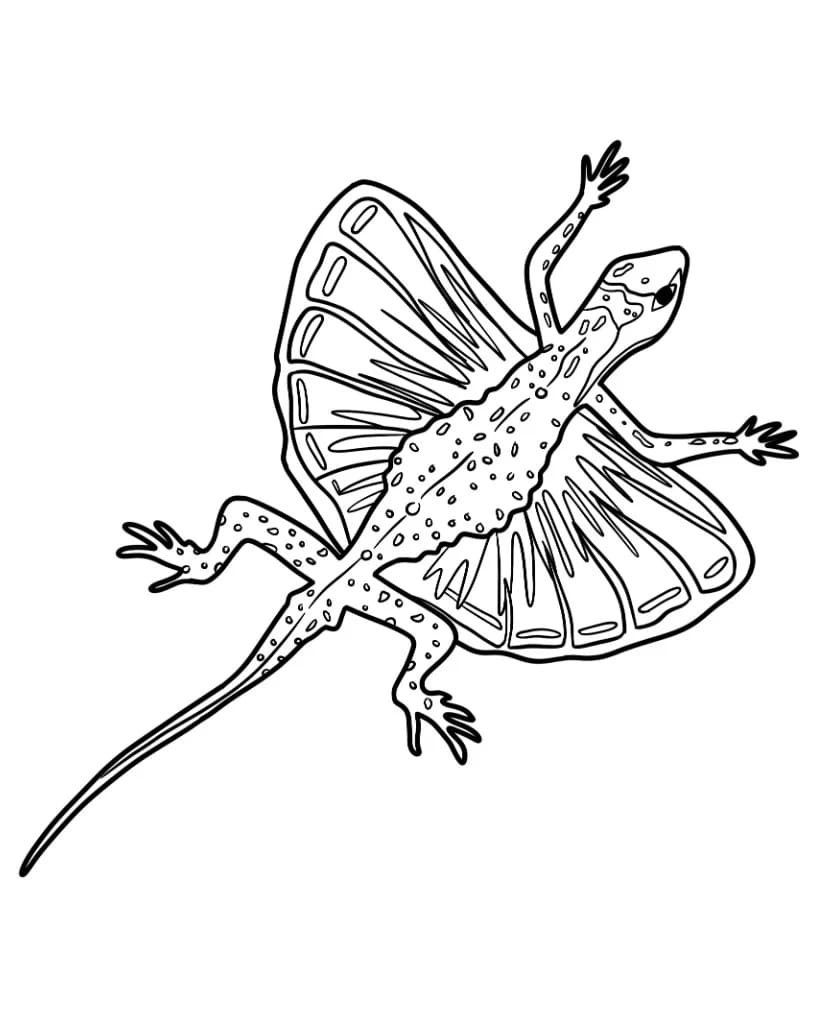 سحلية دراكو فلايزارد تلوين