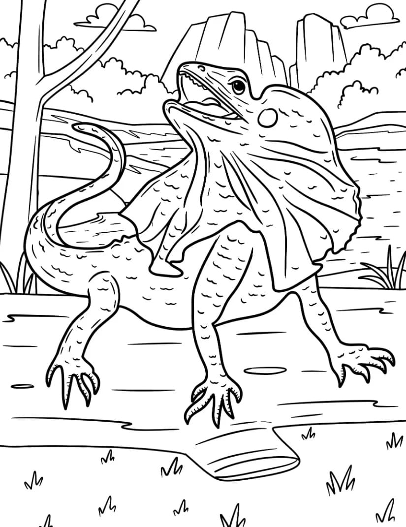 سحلية تنظر إلى الأعلى تلوين