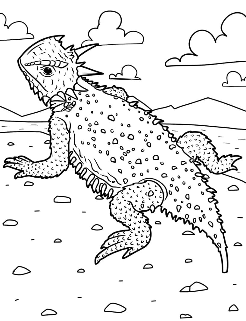 سحلية تكساس ذات القرون تلوين