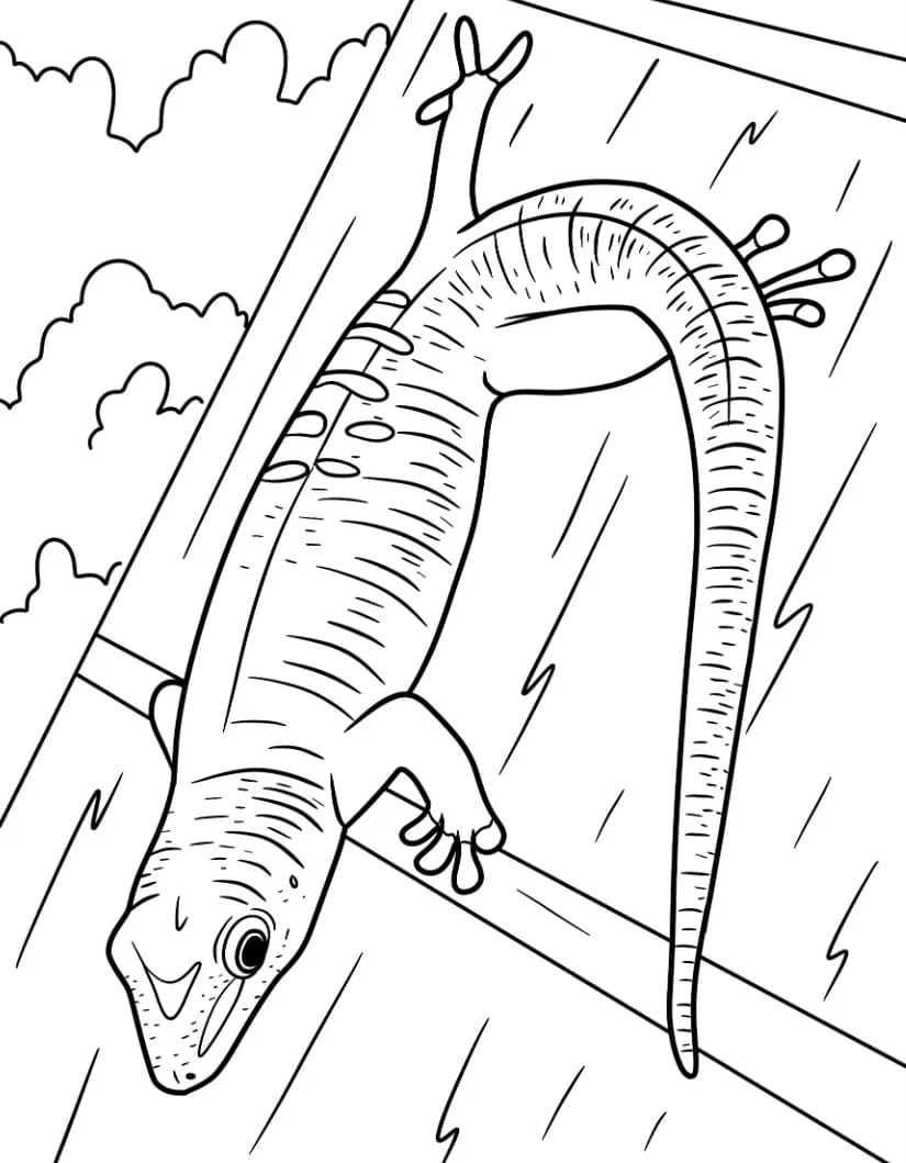 سحلية جيكو تلوين