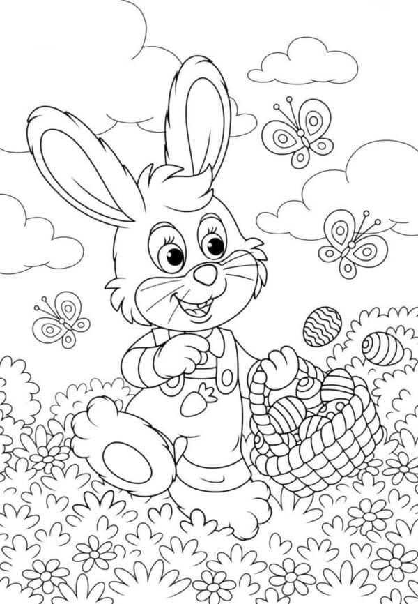 الفراشات تساعد الأرنب على إخفاء خصيتيه تلوين