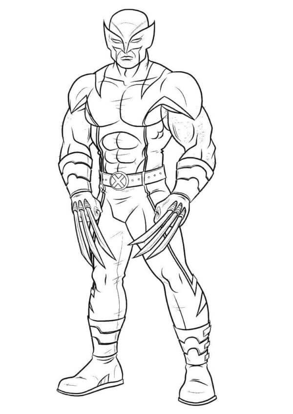 المستذئبون تلوين