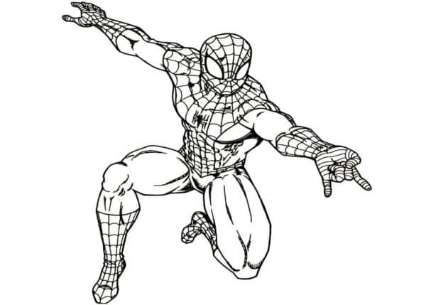 الرجل العنكبوت الأنيق تلوين