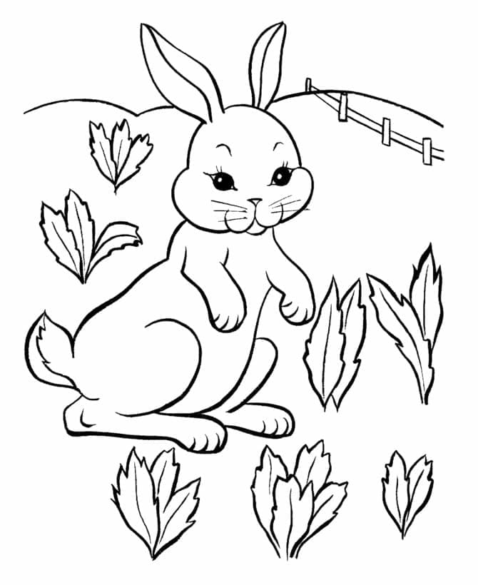أرنب في الحديقة صورة تلوين