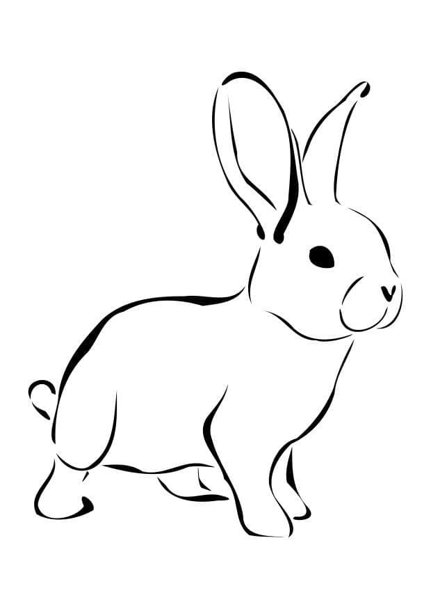 أرنب مجاني للأطفال صورة تلوين