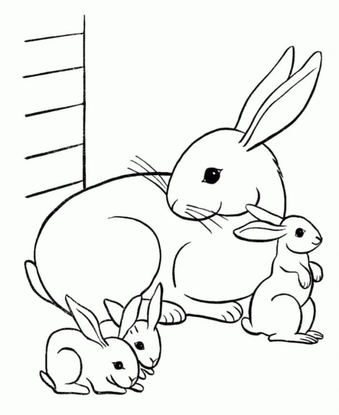 عائلة أرنب تلوين
