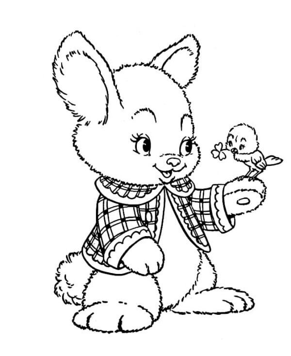 فرخ جلب البرسيم لأرنب عيد الفصح تلوين