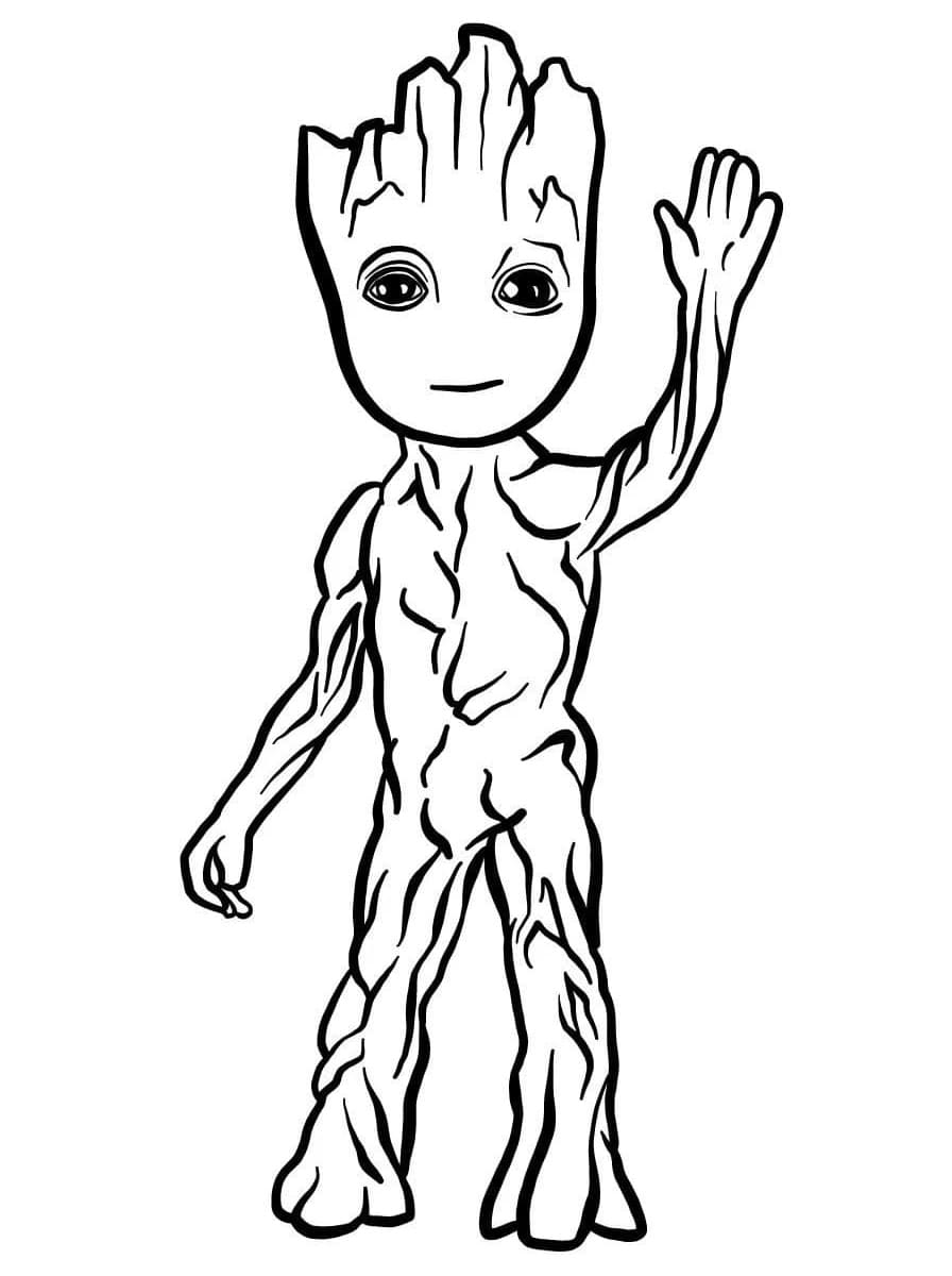 جروت الودود تلوين