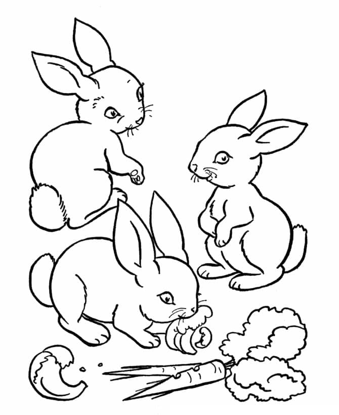 ثلاثة أرانب تلوين
