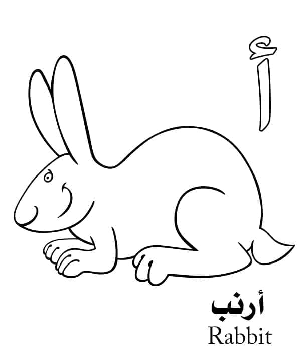 الرسالة للأرنب - الأبجدية العربية تلوين