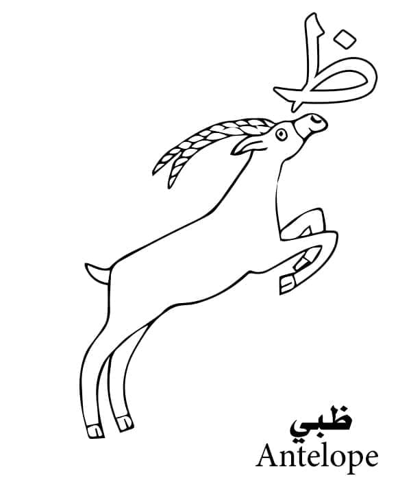 حرف الظاء خاص بالظباء – الأبجدية العربية صورة تلوين