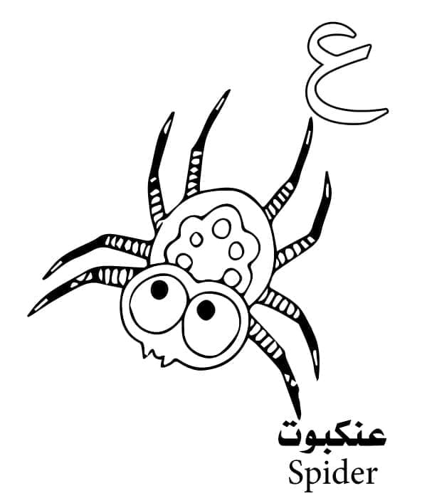 حرف ع للعنكبوت - الأبجدية العربية تلوين