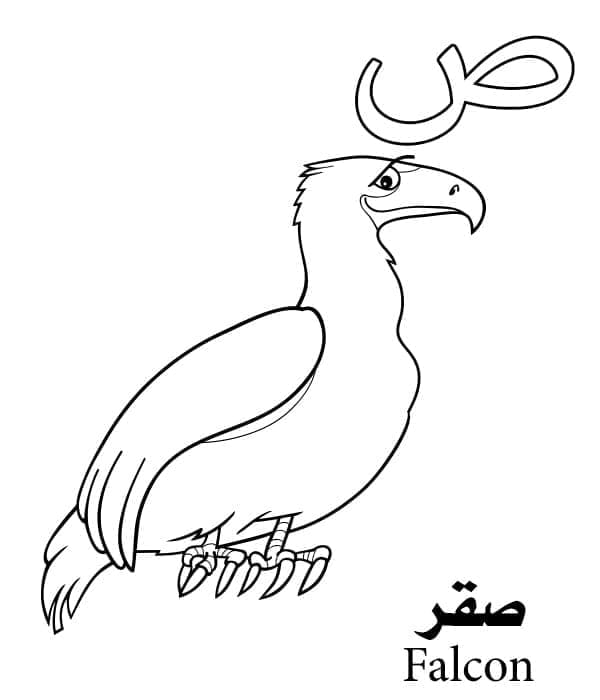 حرف ص للصقر – الأبجدية العربية صورة تلوين