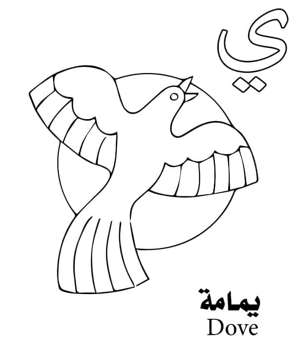حرف Y للحمامة - الأبجدية العربية تلوين