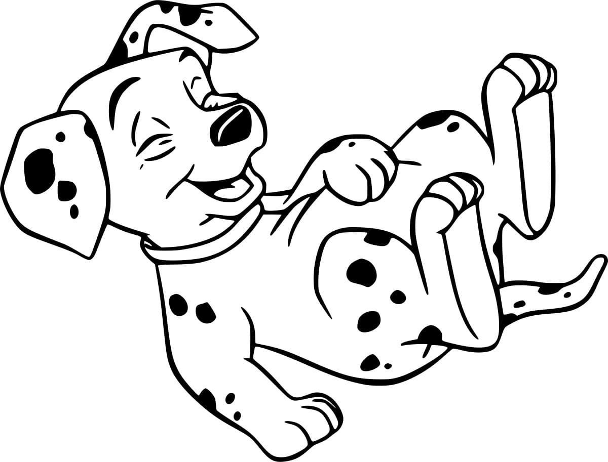 الدلماسي الضاحك تلوين