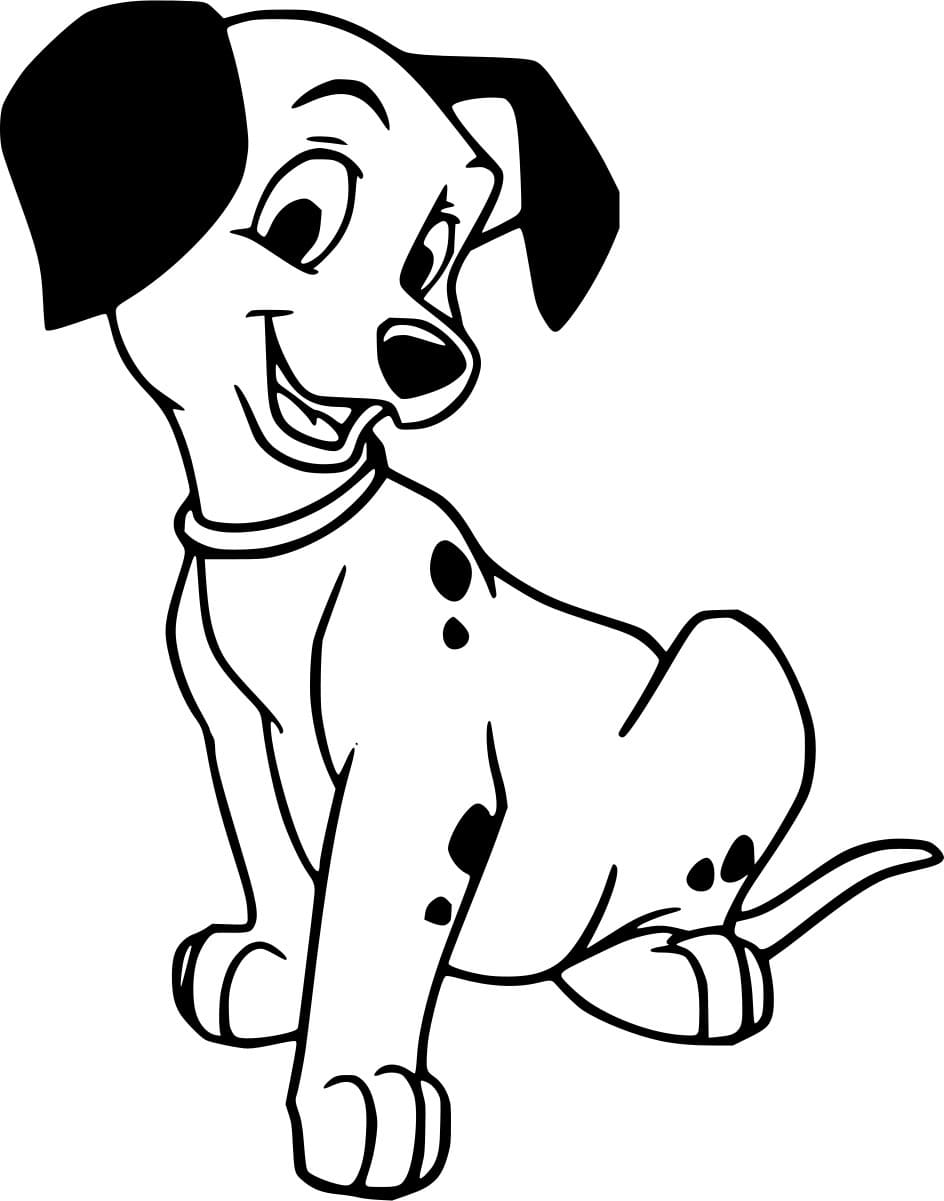 الدلماسي المبتسم تلوين