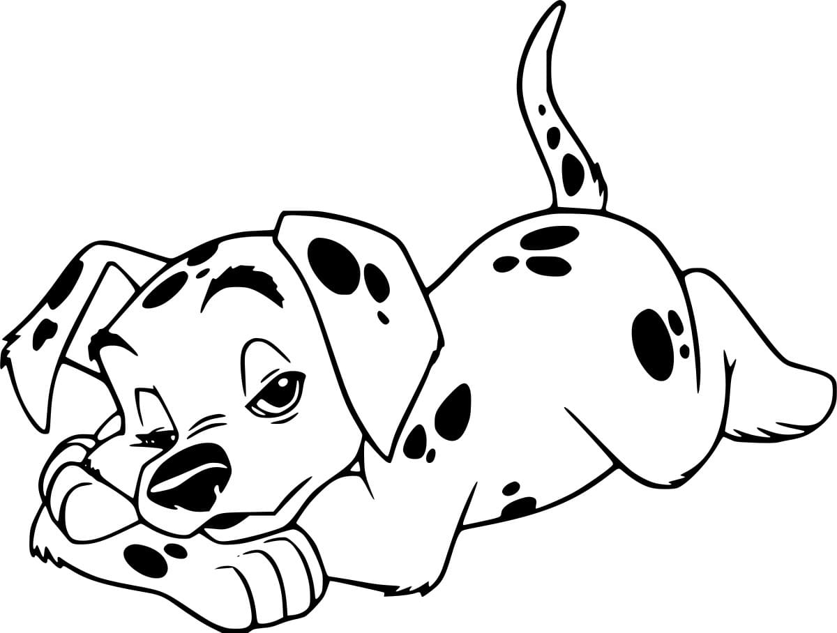 الدلماسي النائم تلوين