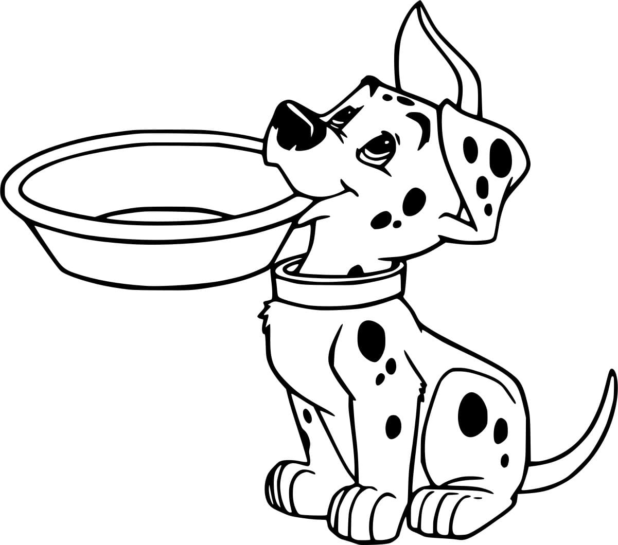 الدلماسي يحمل وعاءه تلوين