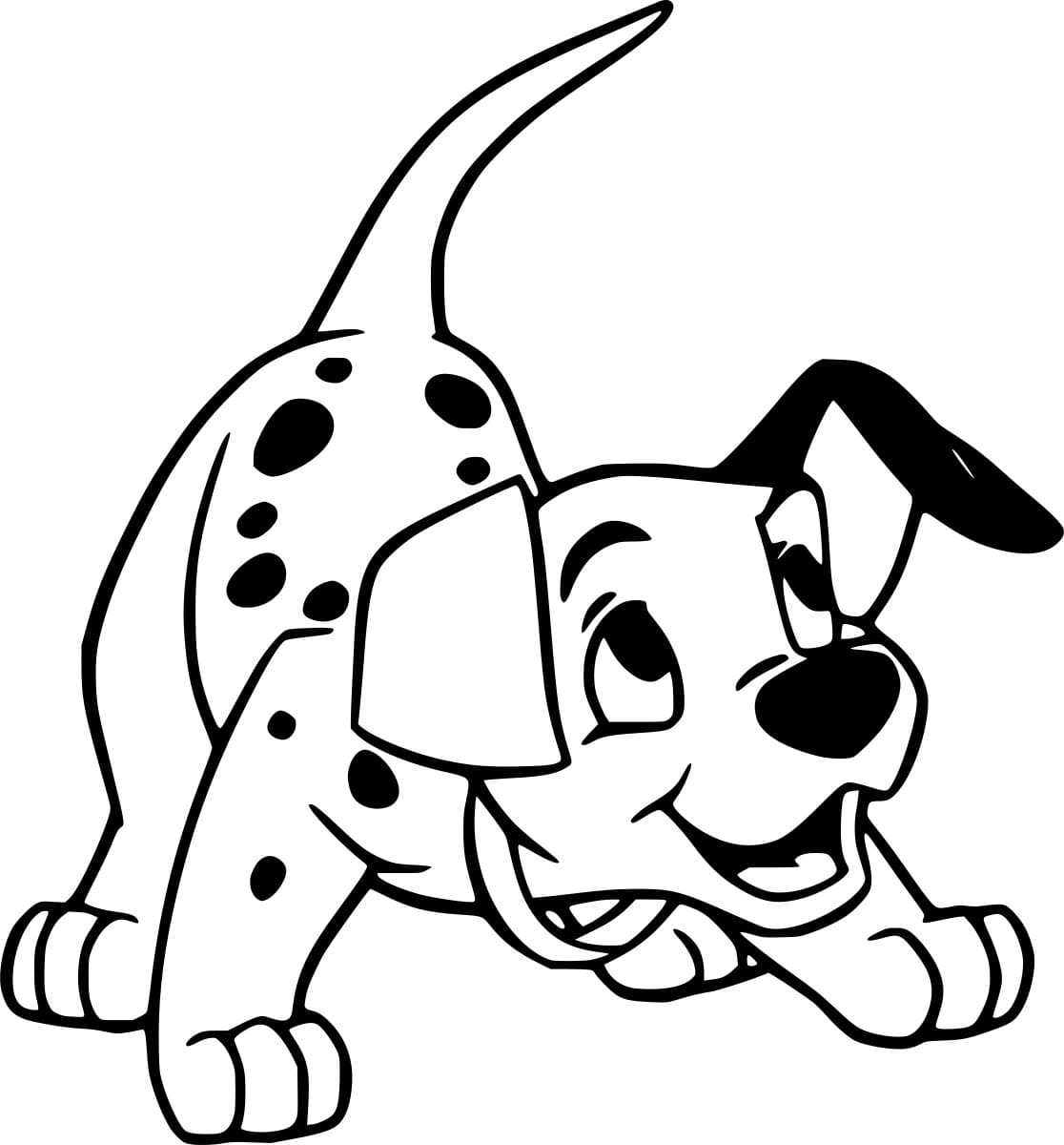 الدلماسي يهز ذيله تلوين