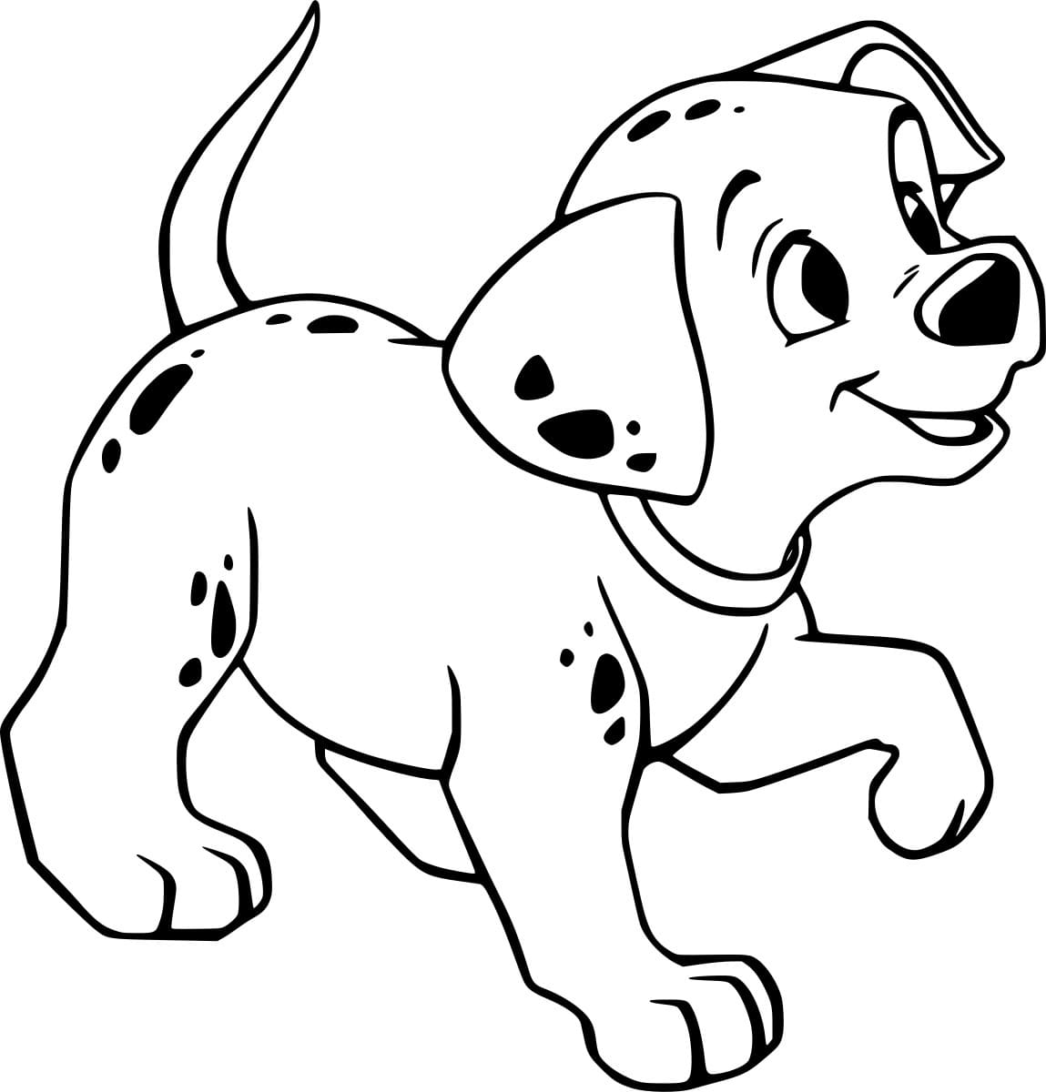 الجري الدلماسي تلوين